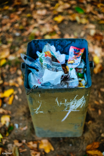 Trash can | Free public domain photo - 564008
