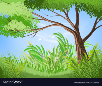 Tree and lush foliage scene vector image