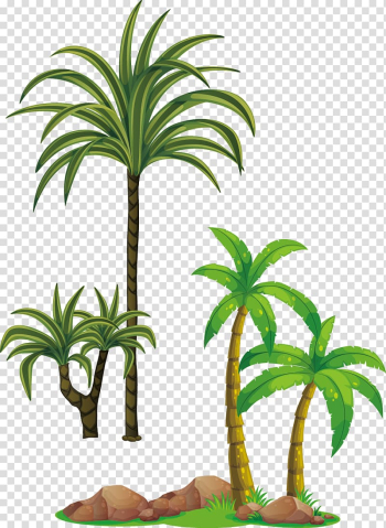 Tree Arecaceae , Coconut tree transparent background PNG clipart