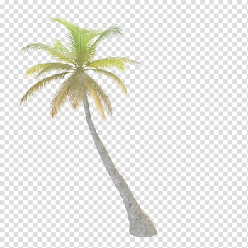 Tree Arecaceae Leaf, Palm tree transparent background PNG clipart Tree Arecaceae Leaf, Palm tree transparent background PNG clipart