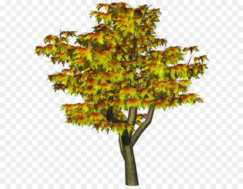 Tree Autumn Clip art - Autumn Tree PNG Tree Clipart Tree Autumn Clip art - Autumn Tree PNG Tree Clipart
