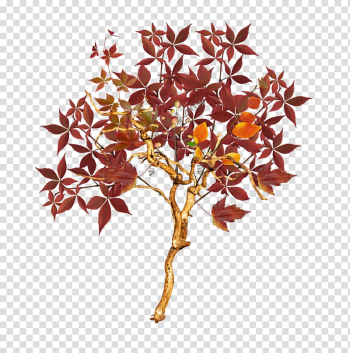 Tree Autumn Euclidean , Autumn Tree transparent background PNG clipart Tree Autumn Euclidean , Autumn Tree transparent background PNG clipart