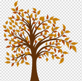 Tree Autumn , Fall Tree sr transparent background PNG clipart
