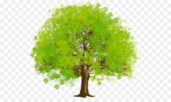 Tree, Branch, Desktop Wallpaper, Green PNG Tree, Branch, Desktop Wallpaper, Green PNG