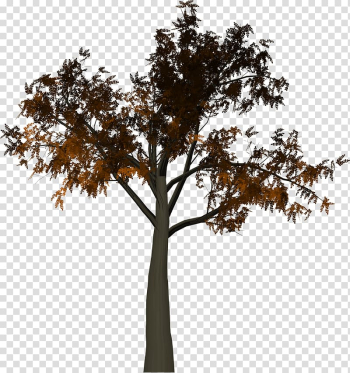 Tree Branch Leaf, tree branch transparent background PNG clipart Tree Branch Leaf, tree branch transparent background PNG clipart