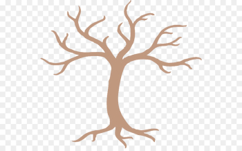 tree branch plant woody plant leaf tree branch plant woody plant leaf