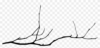 Tree Branch - Tree Branch Drawing Png