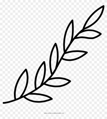 Tree Branch With Leaves Silhouette - Ramas De Hojas Para Colorear Tree Branch With Leaves Silhouette - Ramas De Hojas Para Colorear