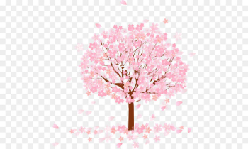 Tree Cherry blossom - Pink tree Tree Cherry blossom - Pink tree