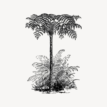 Tree clipart, nature illustration vector. | Free Vector Illustration - rawpixel Tree clipart, nature illustration vector. | Free Vector Illustration - rawpixel