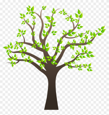 Tree Clipart Png Image 01 - Photosynthesis In A Tree