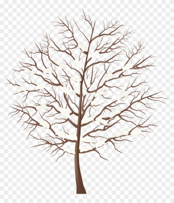 Tree Clipart Winter - Winter Tree Transparent Tree Clipart Winter - Winter Tree Transparent
