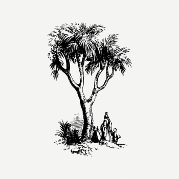 Tree collage element, nature illustration | Free PSD Illustration - rawpixel Tree collage element, nature illustration | Free PSD Illustration - rawpixel