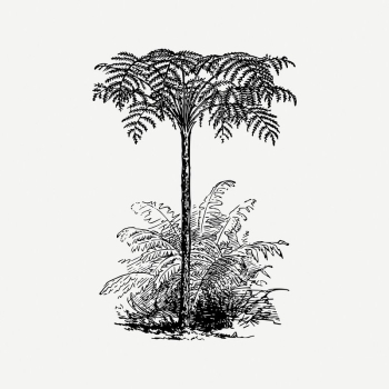 Tree collage element, nature illustration | Free PSD Illustration - rawpixel Tree collage element, nature illustration | Free PSD Illustration - rawpixel
