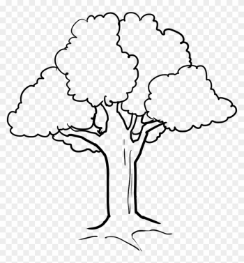 Tree - Coloring Picture Of Tree Tree - Coloring Picture Of Tree