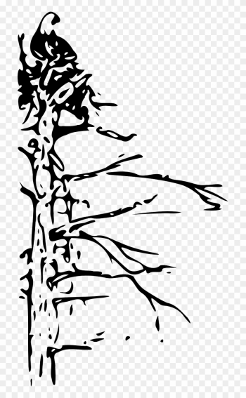 Tree Dead Nature Landscape Png Image - Bald Eagle Tree Dead Nature Landscape Png Image - Bald Eagle