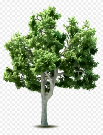Tree Download Clip Art - Tree Download Clip Art Tree Download Clip Art - Tree Download Clip Art