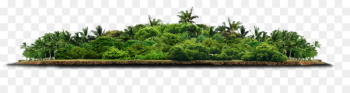 Tree Download - forest Tree Download - forest