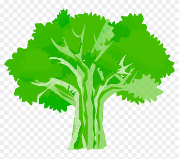 Tree, Environment, Ecology, Nature, Plant - Oak Tree Clipart Hd Tree, Environment, Ecology, Nature, Plant - Oak Tree Clipart Hd