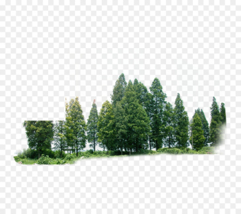 Tree Forest Green - forest Tree Forest Green - forest