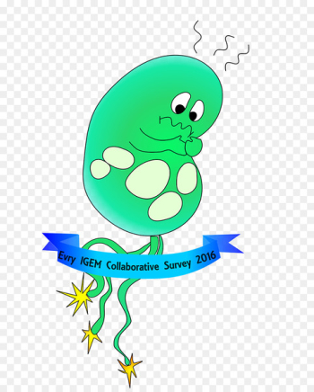Tree frog Clip art Illustration Graphic design - frog Tree frog Clip art Illustration Graphic design - frog