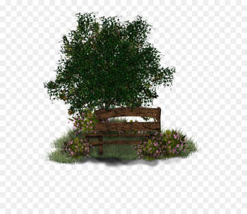 Tree, Garden, Shrub, Plant PNG Tree, Garden, Shrub, Plant PNG