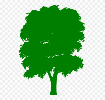 Tree Green Plain Nature Wood Outside Silhouette - Tree Green Plain Nature Wood Outside Silhouette