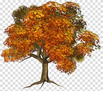 Tree house Autumn Maple , fall transparent background PNG clipart