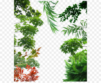 Tree Icon - Creative background green trees Tree Icon - Creative background green trees