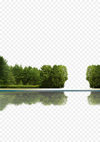 Tree Icon - Trees reflection Tree Icon - Trees reflection