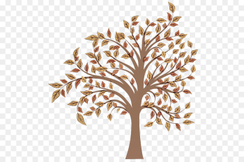 tree leaf branch plant woody plant tree leaf branch plant woody plant