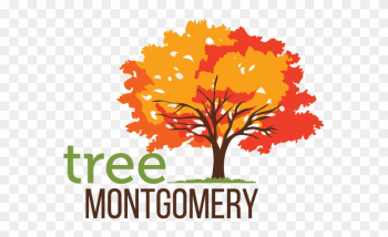 Tree Montgomery Logo - Autumn Tree Logo Tree Montgomery Logo - Autumn Tree Logo