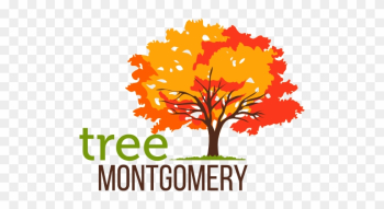 Tree Montgomery Tree Montgomery - Tree Tree Montgomery Tree Montgomery - Tree