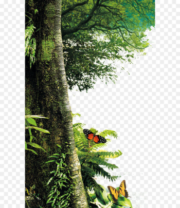 Tree Nature Landscape painting Leaf - Forest trees Tree Nature Landscape painting Leaf - Forest trees