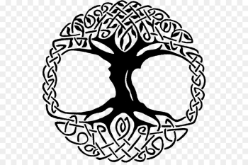 Tree Of Life, Cdr, Celtic Knot, Line Art, Blackandwhite PNG