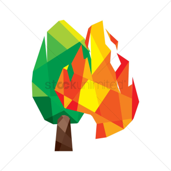 Tree on fire Tree on fire