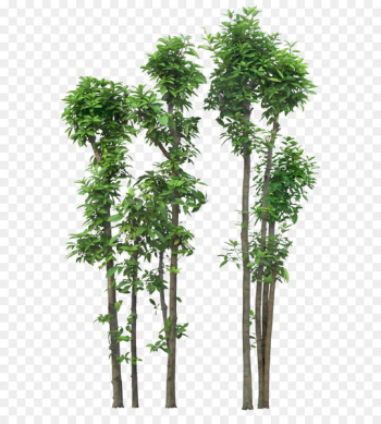 Tree OpenOffice Draw Clip art - Luxuriant trees Tree OpenOffice Draw Clip art - Luxuriant trees