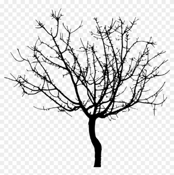 Tree Outlines 11, - Svg Tree Tree Outlines 11, - Svg Tree