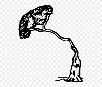 Tree Pine, Wood, Nature, Plant, Tree - Tree Falling In Black And White Tree Pine, Wood, Nature, Plant, Tree - Tree Falling In Black And White