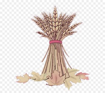 tree plant grass family leaf woody plant tree plant grass family leaf woody plant
