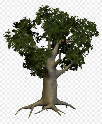 Tree Png Image - Transparent Big Tree