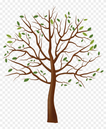 Tree Png Image - Tree Drawing Transparent Background