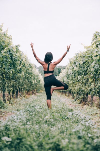 Tree Pose In Vinyard Great Balance Tree Pose In Vinyard Great Balance