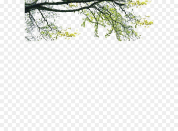 Tree Poster Landscape - Landscape foreground tree Tree Poster Landscape - Landscape foreground tree