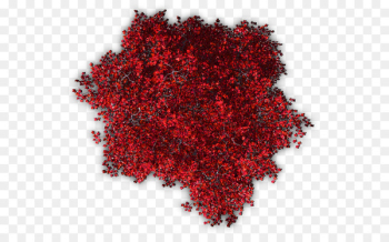 Tree Red maple Twig Japanese maple - tree top Tree Red maple Twig Japanese maple - tree top