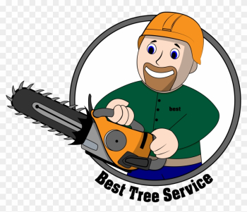 Tree Removal - Tree Tree Removal - Tree