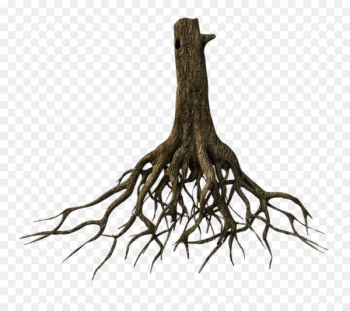 Tree Root 3D modeling TurboSquid Clip art - the roots Tree Root 3D modeling TurboSquid Clip art - the roots
