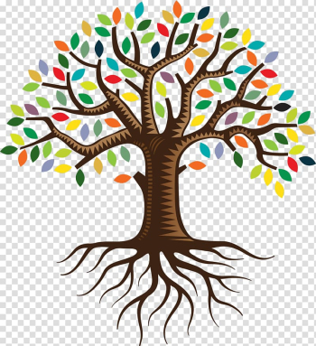 Tree Root Color , tree plan transparent background PNG clipart Tree Root Color , tree plan transparent background PNG clipart