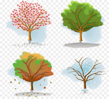 Tree Season Autumn - Four Seasons Tree children Tree Season Autumn - Four Seasons Tree children