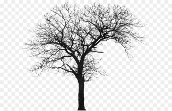 Tree Silhouette House Architecture - tree Tree Silhouette House Architecture - tree